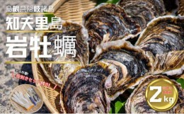 【ふるさと納税】【知夫里島産 岩牡蠣 2kg（殻剥き道具セット付）】ブランド 岩牡蠣 生食可 牡蛎 牡蠣 かき カキ 岩牡蠣 いわがき 冷凍 