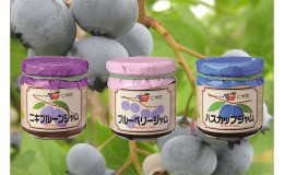 【ふるさと納税】JA新おたるの『紫色果実』のジャムセット(3個入り)