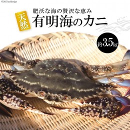 【ふるさと納税】AA061天然の好漁場・肥沃な海の贅沢な恵み　有明海のカニ