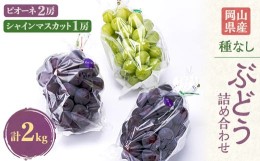 【ふるさと納税】岡山県産のぶどう詰め合わせ2kg(シャインマスカット1房とピオーネ2房)【1112964】