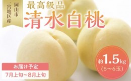 【ふるさと納税】桃 2024年 先行予約 清水 白桃 5〜6玉入 約1.5kg 岡山市一宮地区産 もも モモ フルーツ 果物 ギフト