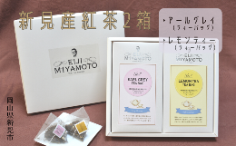 【ふるさと納税】新見産紅茶 2箱 ティーバッグ (アールグレイ/レモンティー)