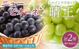 【ふるさと納税】ぶどう 2024年 先行予約 ニュー ピオーネ 1房（1房470g以上） シャイン マスカット 『晴王』1房（1房470g以上）詰合せ（