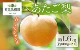 【ふるさと納税】梨 2024年 先行予約 あたご梨 約800g×2玉 化粧箱 ナシ なし 岡山県産 国産 フルーツ 果物 ギフト 石原果樹園 [No.5220-