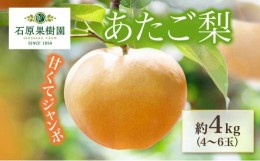 【ふるさと納税】梨 2024年 先行予約 あたご梨 4〜6玉 合計約4kg 化粧箱 ナシ なし 岡山県産 国産 フルーツ 果物 ギフト 石原果樹園 [No.