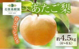 【ふるさと納税】梨 2024年 先行予約 あたご梨 4〜6玉 合計約4.5kg 贈答箱 ナシ なし 岡山県産 国産 フルーツ 果物 ギフト 石原果樹園 [N