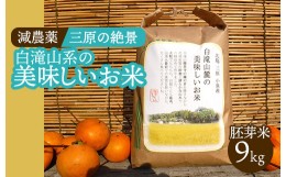 【ふるさと納税】【10月中旬から発送】≪減農薬≫ 三原の絶景白滝山系の美味しいお米9kg（胚芽米） 新米  002008