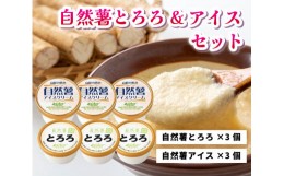 【ふるさと納税】[?5311-0131]とろろ アイスクリーム 2つを混ぜると大福味に 高原の恵み セット 6個入り 自然薯 詰め合わせ 野菜 アイス 