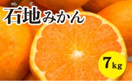 【ふるさと納税】[?5311-0289]みかん 柑橘 【先行予約】 【2024年12月以降発送】糖度が高く濃厚！ 石地みかん ＜約7kg＞