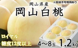 【ふるさと納税】桃 2024年 先行予約 岡山 白桃 ロイヤル 4〜8玉 約1.2kg JAおかやまのもも（早生種・中生種） もも モモ 岡山県産 国産 