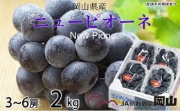 【ふるさと納税】ぶどう 2024年 先行予約  ニュー ピオーネ 3房〜6房 約2kg ブドウ 葡萄  岡山県産 国産 フルーツ 果物 ギフト[No.5220-0