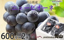 【ふるさと納税】ぶどう 2024年 先行予約  ニュー ピオーネ 約600g×2房 ブドウ 葡萄  岡山県産 国産 フルーツ 果物 ギフト[No.5220-0938