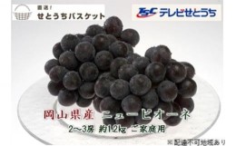 【ふるさと納税】ぶどう 2024年 先行予約 ご家庭用 ニュー ピオーネ 2〜3房 約1.2kg ブドウ 葡萄 岡山県産 国産 フルーツ 果物 直送！せ