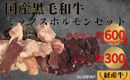 【ふるさと納税】国産 黒毛和牛 経産牛 牛肉ミックスホルモンセット(ホルモン約600g＋レバー約300g)