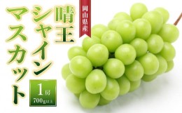 【ふるさと納税】ぶどう［2024年先行予約］晴王 シャインマスカット 1房（700g以上）岡山県産 [No.5220-1163]