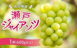 【ふるさと納税】ぶどう［2024年先行予約］瀬戸ジャイアンツ 1房（600g以上）岡山県産 [No.5220-1173]