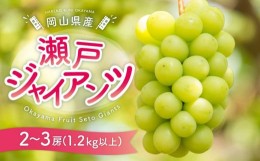 【ふるさと納税】ぶどう［2024年先行予約］瀬戸ジャイアンツ 2房〜3房（1.2kg以上）岡山県産 