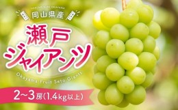 【ふるさと納税】ぶどう［2024年先行予約］瀬戸ジャイアンツ 2房〜3房（1.4kg以上）岡山県産 [No.5220-1177]