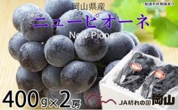 【ふるさと納税】ぶどう 2024年 先行予約 ニュー ピオーネ 約400g×2房 ブドウ 葡萄  岡山県産 国産 フルーツ 果物 ギフト[No.5220-1271]