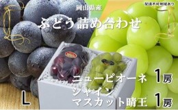 【ふるさと納税】ぶどう 2024年 先行予約 ニュー ピオーネ 1房 約400g  シャイン マスカット 晴王 1房 約400g 詰め合わせ ブドウ 葡萄  