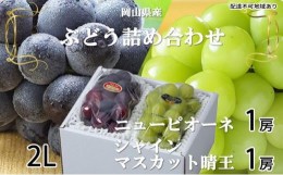 【ふるさと納税】ぶどう 2024年 先行予約 ニュー ピオーネ 1房 約500g  シャイン マスカット 晴王 1房 約500g 詰め合わせ ブドウ 葡萄  