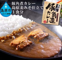 【ふるさと納税】CE037 豚角煮カレー　島原麦みそ仕立て 1食分