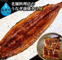 【ふるさと納税】AE050老舗料理店のうなぎ蒲焼き（１７０ｇ×３尾）