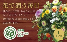 【ふるさと納税】A059 「花うるるのハンギング寄せ植え定期便〜ゴールドコース」【全6回】（半年〜1年間お届け）