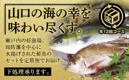 【ふるさと納税】A008 山口県漁協大海の海の幸セット（年12回コース）