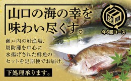 【ふるさと納税】A010 山口県漁協大海の海の幸セット（年6回コース）