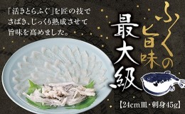 【ふるさと納税】D183 とらふく刺身24cm皿（45g）