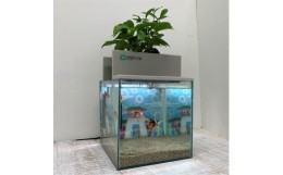 【ふるさと納税】水槽セット　25cm  せせらぎビオトープ　アクアリウム　照明　熱帯魚　植物