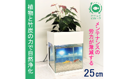 【ふるさと納税】水槽セット　せせらぎビオトープ　アクアリウム　25cm　照明　スチールカバー　観賞魚