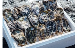 【ふるさと納税】【予約商品】牡蠣　広島　殻付き牡蠣（13個〜15個）　矢野水産【配送不可：離島】【配送時期：2025年1月上旬〜2025年4月