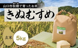 【ふるさと納税】D192 あいお（秋穂）で育ったお米 きぬむすめ 玄米 5kg