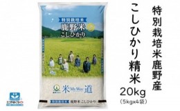 【ふるさと納税】特別栽培米鹿野産こしひかり精米20kg（5kgx4袋)＊北海道・沖縄・離島への配送不可＊