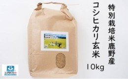 【ふるさと納税】特別栽培米鹿野産コシヒカリ玄米10kg（10kgx1袋)＊北海道・沖縄・離島への配送不可＊