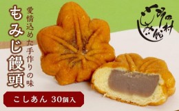 【ふるさと納税】もみじ饅頭こしあん30個入