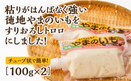 【ふるさと納税】E060 徳地やまのいものすりおろしトロロ　100g×2個