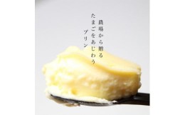 【ふるさと納税】『四ツ葉農場』新鮮たまごの「ぷりんマドンナ」6個セット