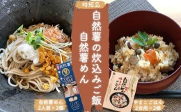 【ふるさと納税】【時短品】自然薯の炊込みごはん・めんセット