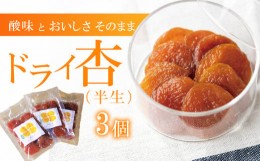 【ふるさと納税】酸味とおいしさそのまま ドライ杏 (半生) 3個