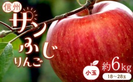 【ふるさと納税】りんごの王様 「 サンふじ 」 小玉 約6kg (18〜28玉)