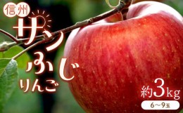 【ふるさと納税】りんごの王様 「 サンふじ 」 約3kg (6〜9玉)