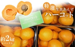 【ふるさと納税】特選 あんず ハーコット 4パック（計 約2kg）| 果物 あんず 杏 フルーツ くだもの アプリコット ハーコット 生食用 数量