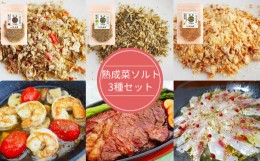 【ふるさと納税】【漬物屋が作る新しい調味料】熟成菜ソルト3種セット