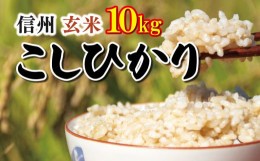 【ふるさと納税】信州米 こしひかり ( 玄米 ) 10kg 長野県産 | 米 コシヒカリ 玄米 お米 信州米  5kg × 2袋 合計10kg 特産品 千曲市 長