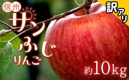 【ふるさと納税】サンふじ 10kg 訳あり りんご (20〜36玉)