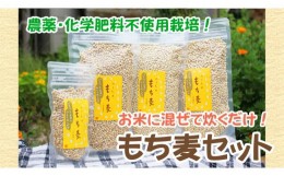 【ふるさと納税】国産もち麦300g 3袋 ＆ 100g 1袋 d10-22