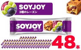 【ふるさと納税】SOYJOY　ソイジョイ　3種のレーズン　48本【1245550】